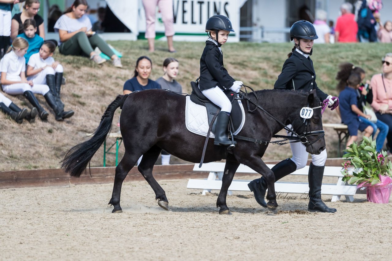 Bild 72 - Pony Akademie Turnier